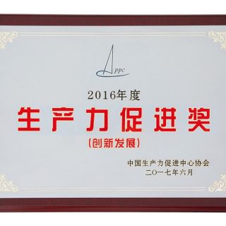 2017���ȫ���������ƽ����·�չ��